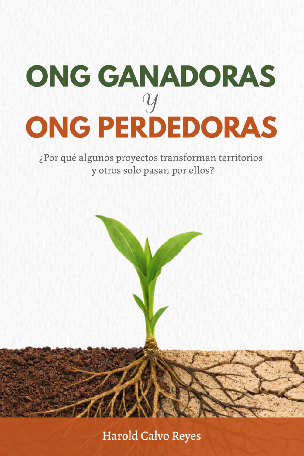 ONG Ganadoras y ONG Perdedoras: ¿POR QUÉ ALGUNOS PROYECTOS TRANSFORMAN TERRITORIOS Y OTROS SOLO PASAN POR ELLOS?