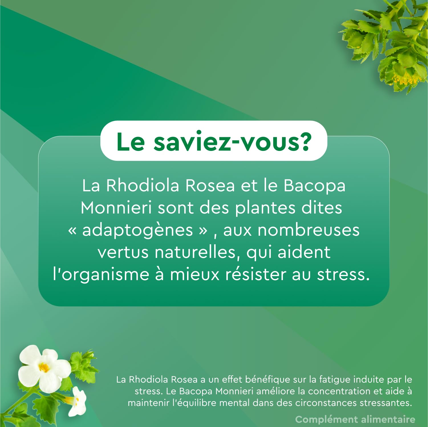 EuphytoseStress Concentration - Complément alimentaire - Bacopa Monnieri - Rhodiola Rosea - Plantes adaptogènes - Stress, Difficulté de Concentration - 3 mois - 3x30 comprimés - Fabriqué en France