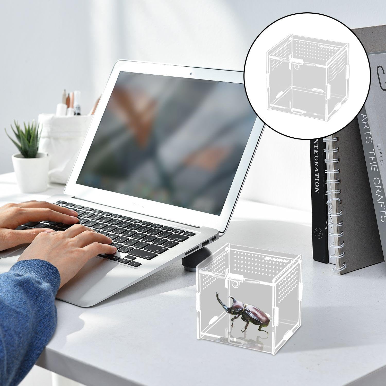 1 Piece Acrylic Feeding Box, Transparent Feeding Box, Crawling Pet Supplies, Suitable For Spiders, Lizards, Snails. — view 3