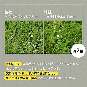 Amazon | BTM 人工芝 ロール 2m×10m 芝丈35mm ピン42本つき 2色