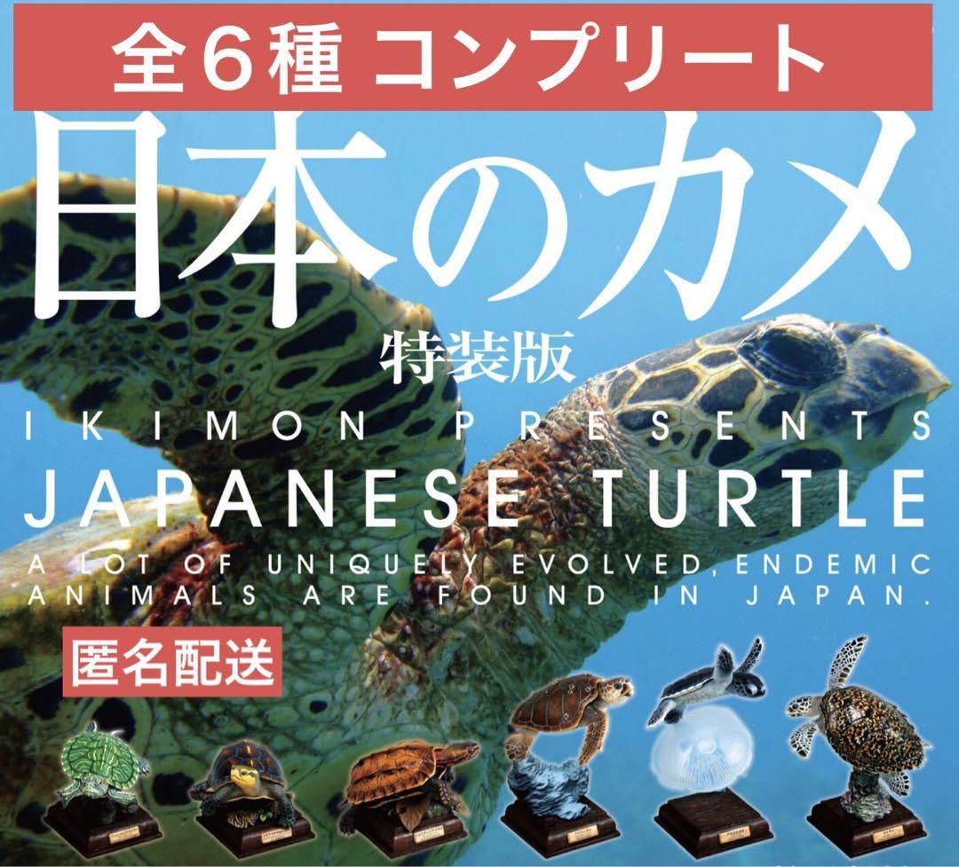 Amazon.co.jp: ネイチャーテクニカラー 日本のカメ 特装版
