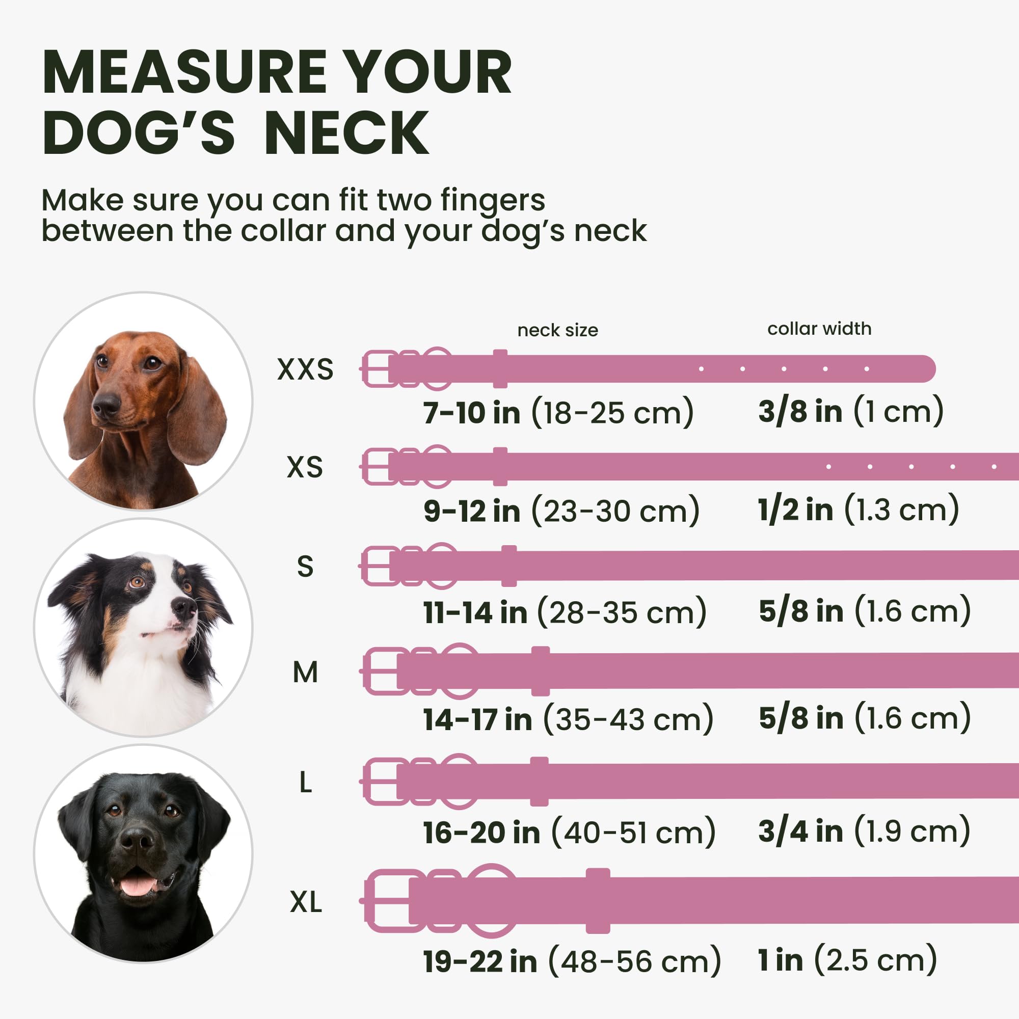 Amazon | BRONZEDOG ロールドレザー 犬用首輪 ラウンドロープ ペット