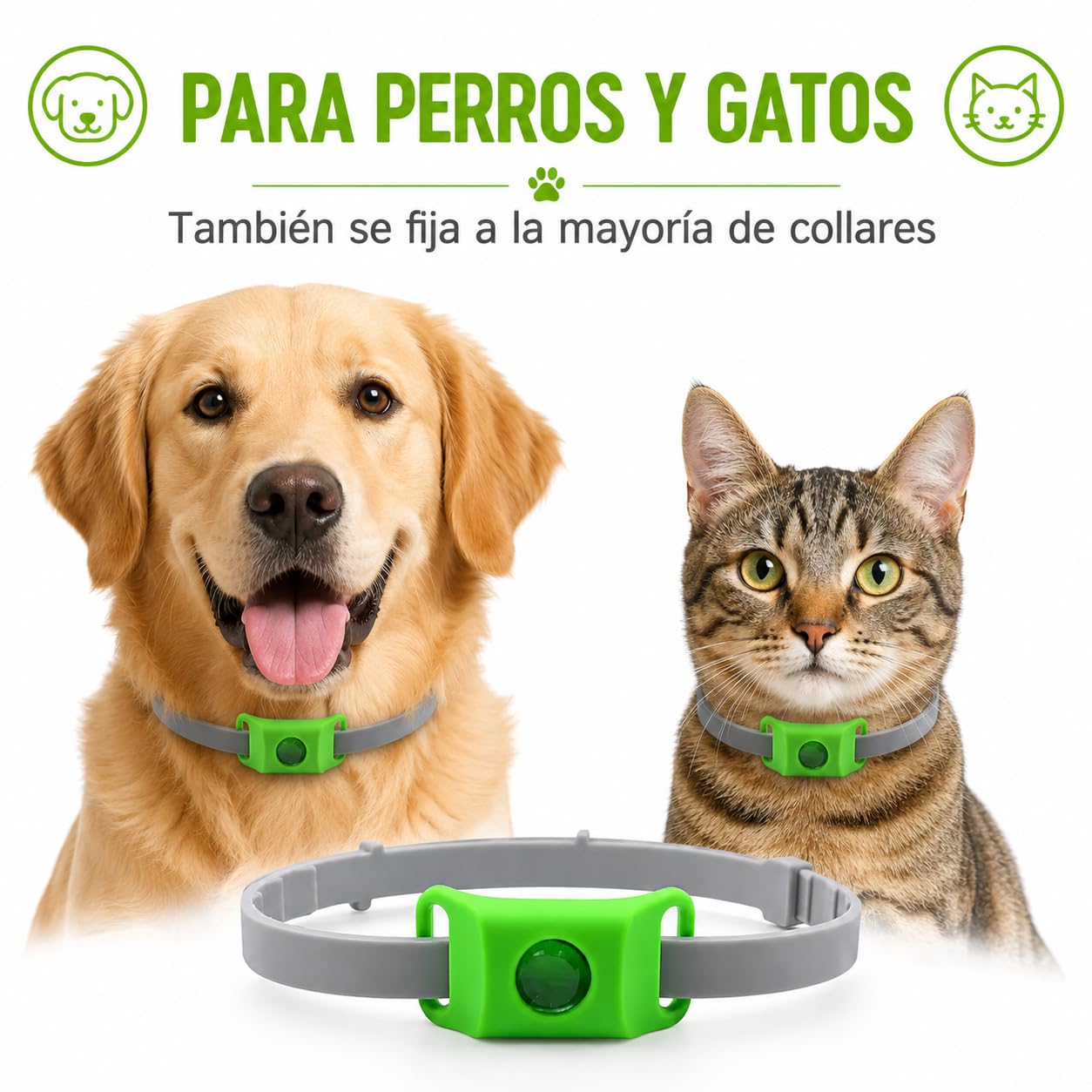 Aquality Collar Antiparasitario Gatos Perros con Cápsulas Reemplazables Difusor Natural Ajustable Resistente Al Agua para Paseos Exterior (Rojo)