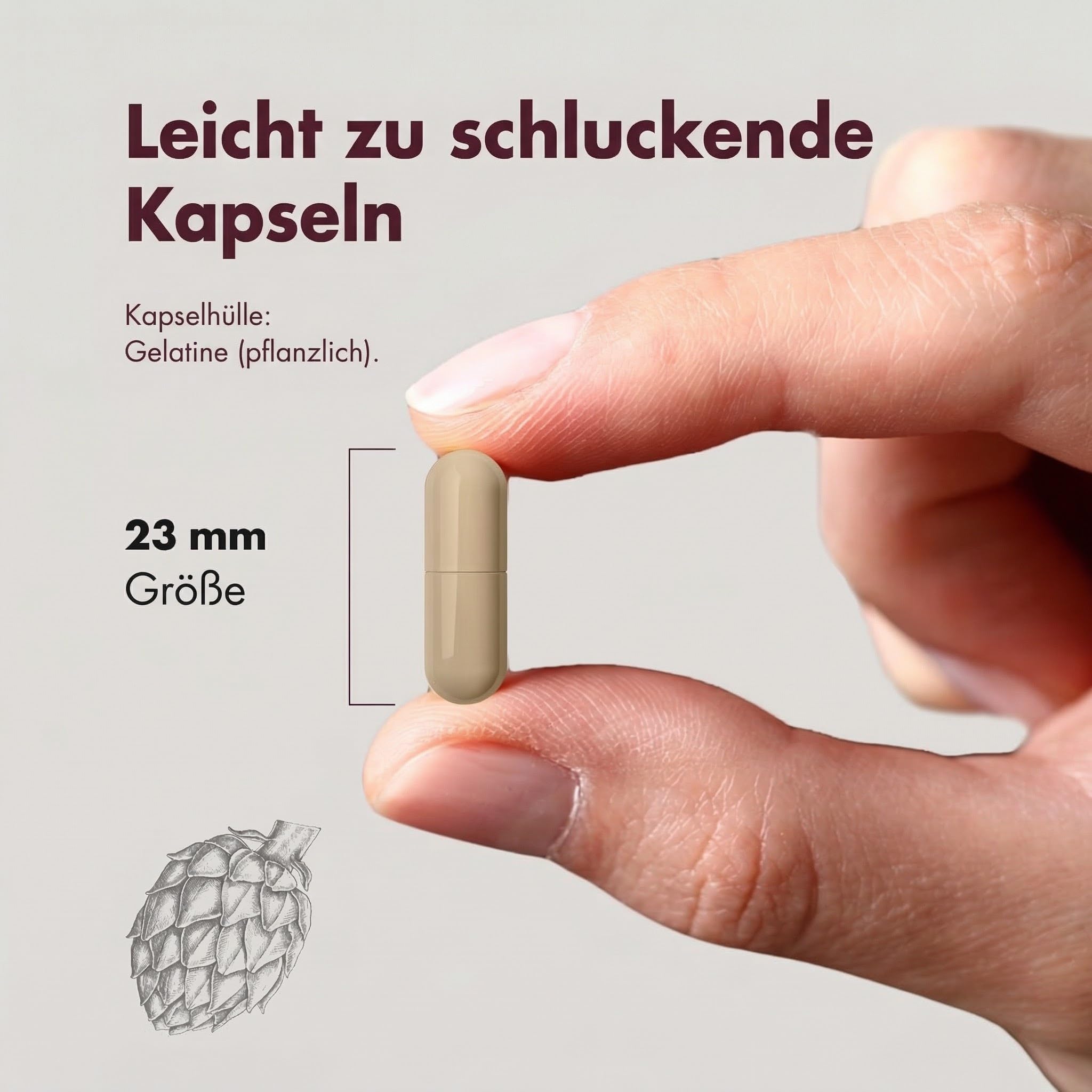 Granatum Plus - Punicalagin Plus - Nahrungsergänzungsmittel - Gewonnen aus Granatäpfeln - Antioxidatives Supplement - Verdauung und Stoffwechsel - Hautpflege - Hergestellt Spanien - 3 Box 28 Tabletten