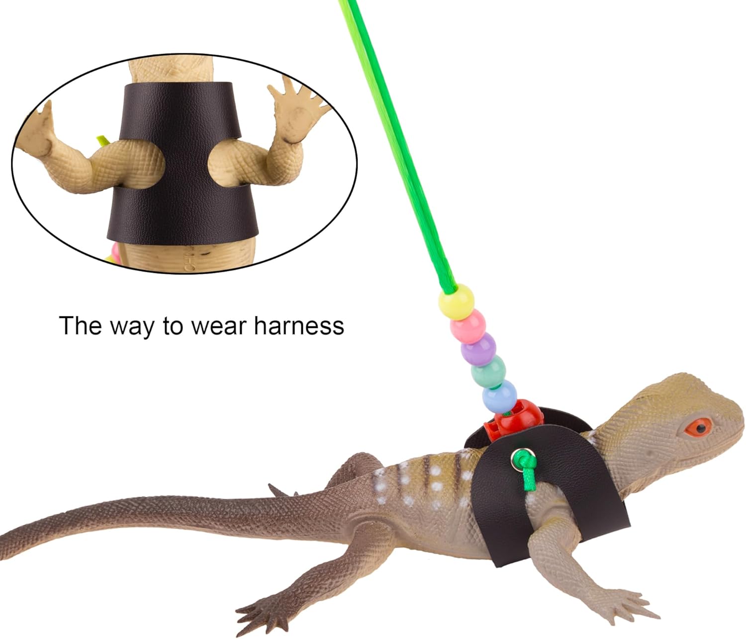 Crested Gecko Harness Leopard Gecko Leash ADOGGYGO