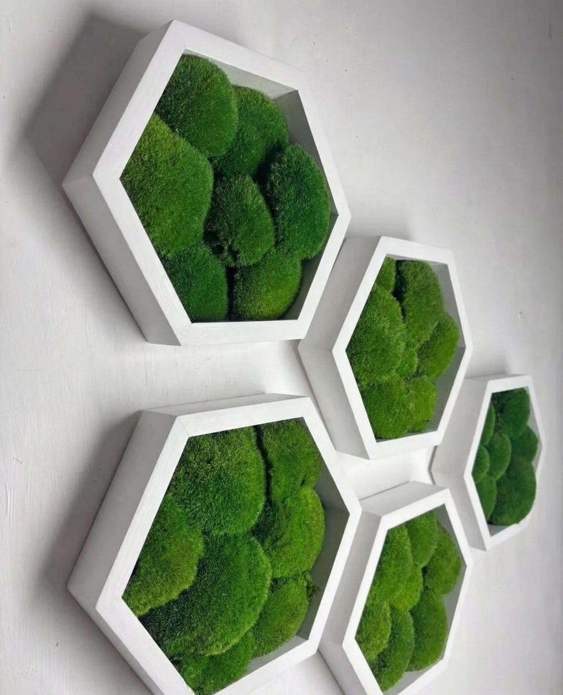 Moss Hexagons
