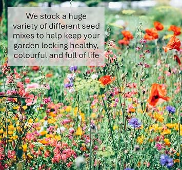 Agricultural Mustard Seed 500g Green Manure SLMH