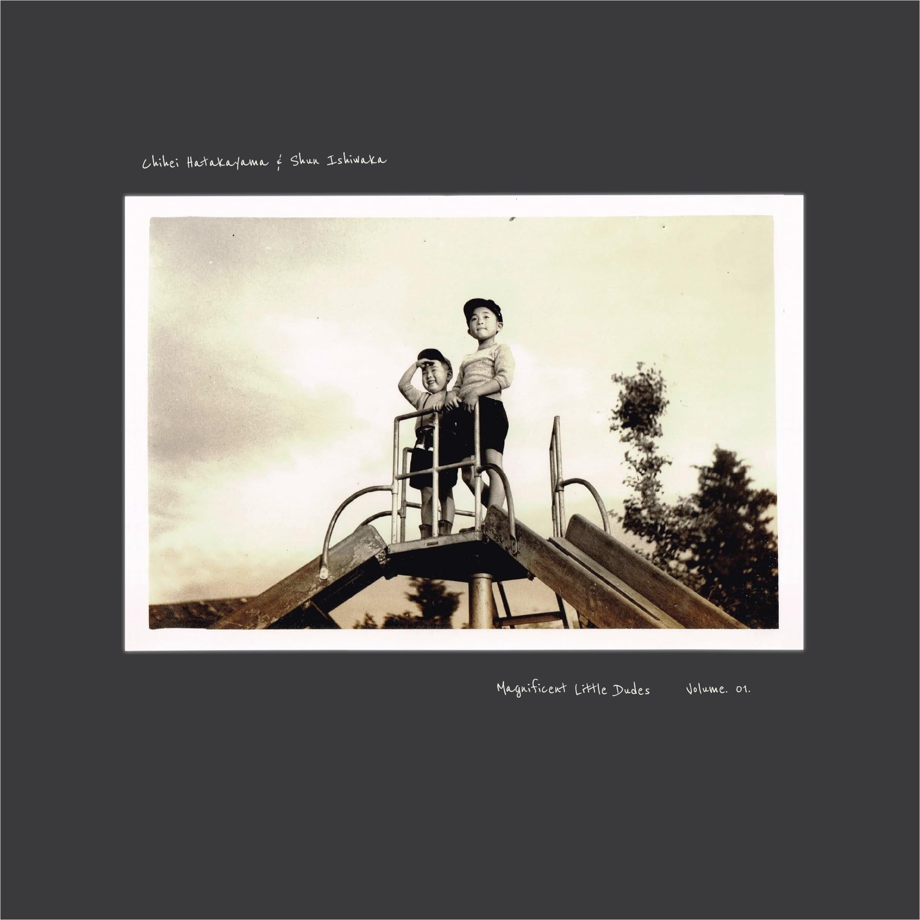 Magnificent Little Dudes Vol 1 [Vinyl LP] [VINYL]