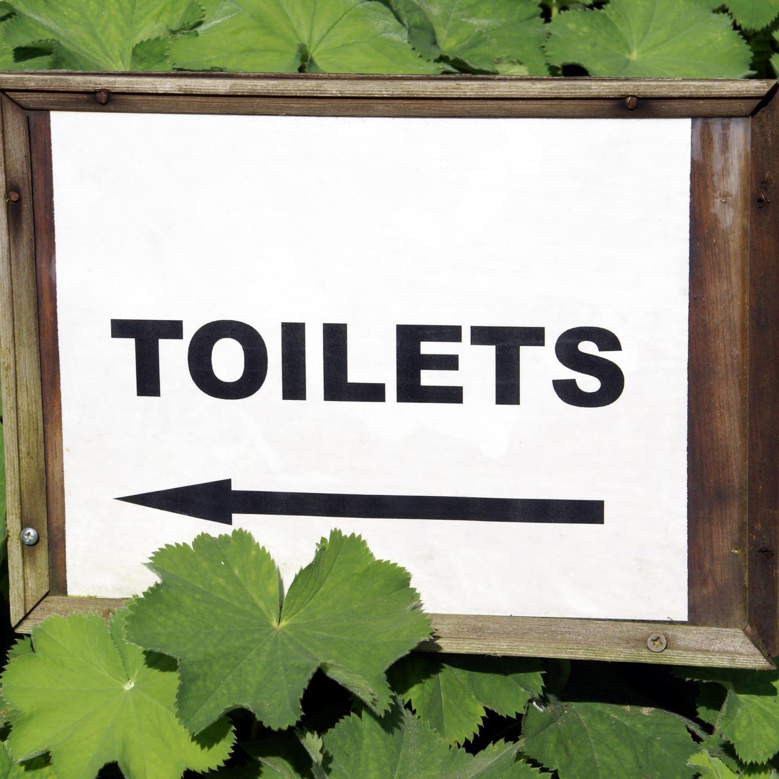 10 L Einstreu für Trenn-, Trocken-, Camping- & Komposttoiletten, Streu ohne Torf, mit Pflanzenkohle