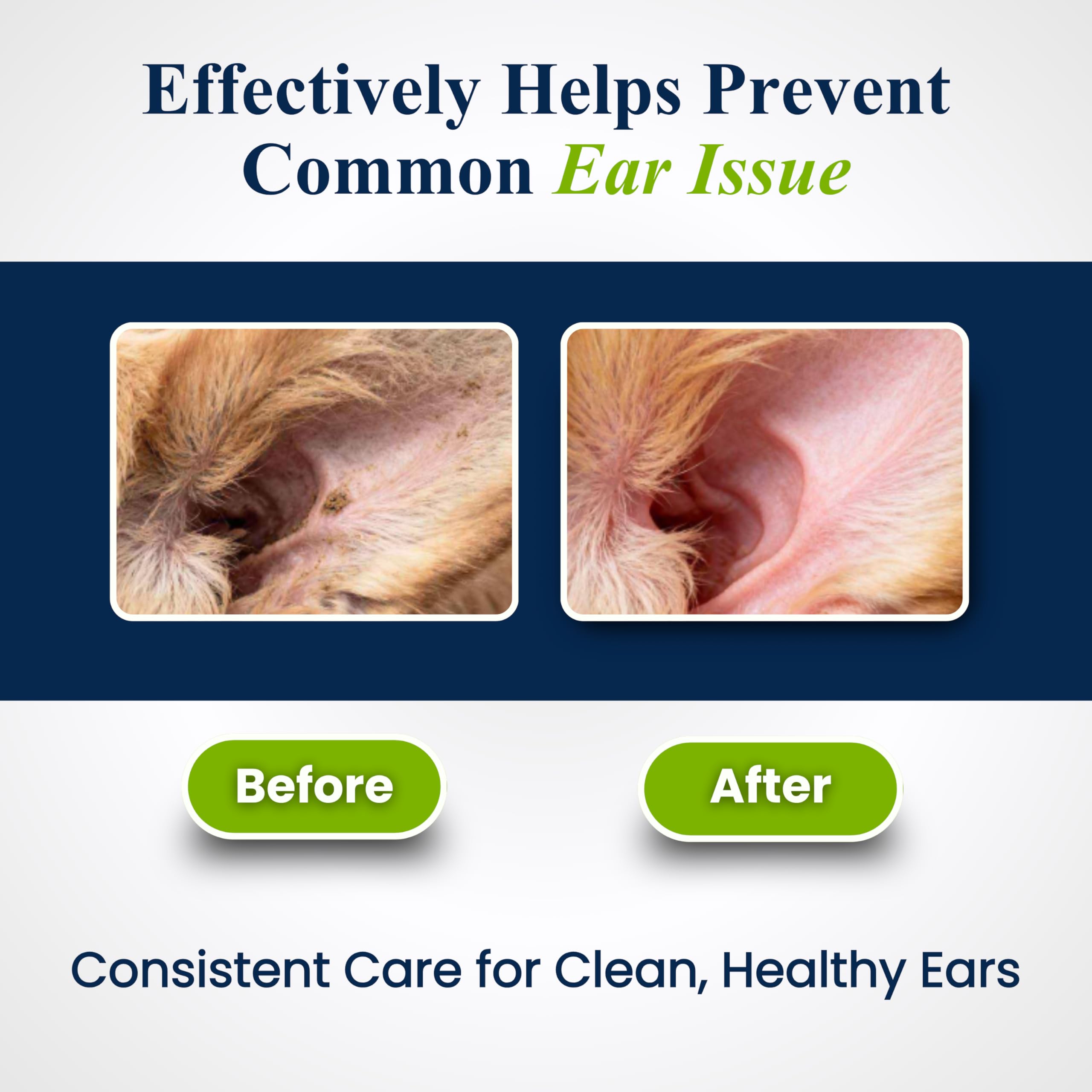 Petroyale Ear Cleanser for Dogs and Cats | Effective & Gentle Formula | Remove Dirt, Excess Wax, Mites | Improves Hearing | Relives Itching | Dog Ear Cleaner Solution with Tris EDTA Buffer - 100ml 3