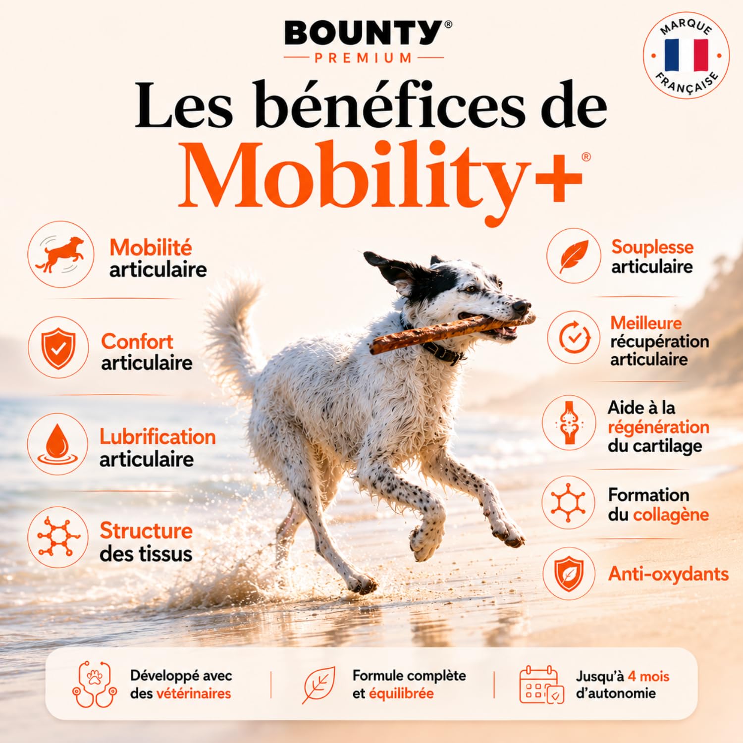 Mobility+ Complément Articulaire Chien – Arthrose & Douleurs Articulaires – 7 Actifs : Glucosamine, Chondroïtine, Collagène, Acide Hyaluronique, MSM – Senior & Grande Race – 120 Bouchées