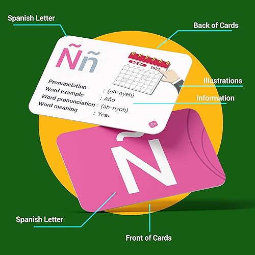 Miniatura 2 de Briston Tarjetas flash del alfabeto español  27 recursos educativos de aprendizaje de idiomas con imágenes para palabras de memoria  Juego divertido