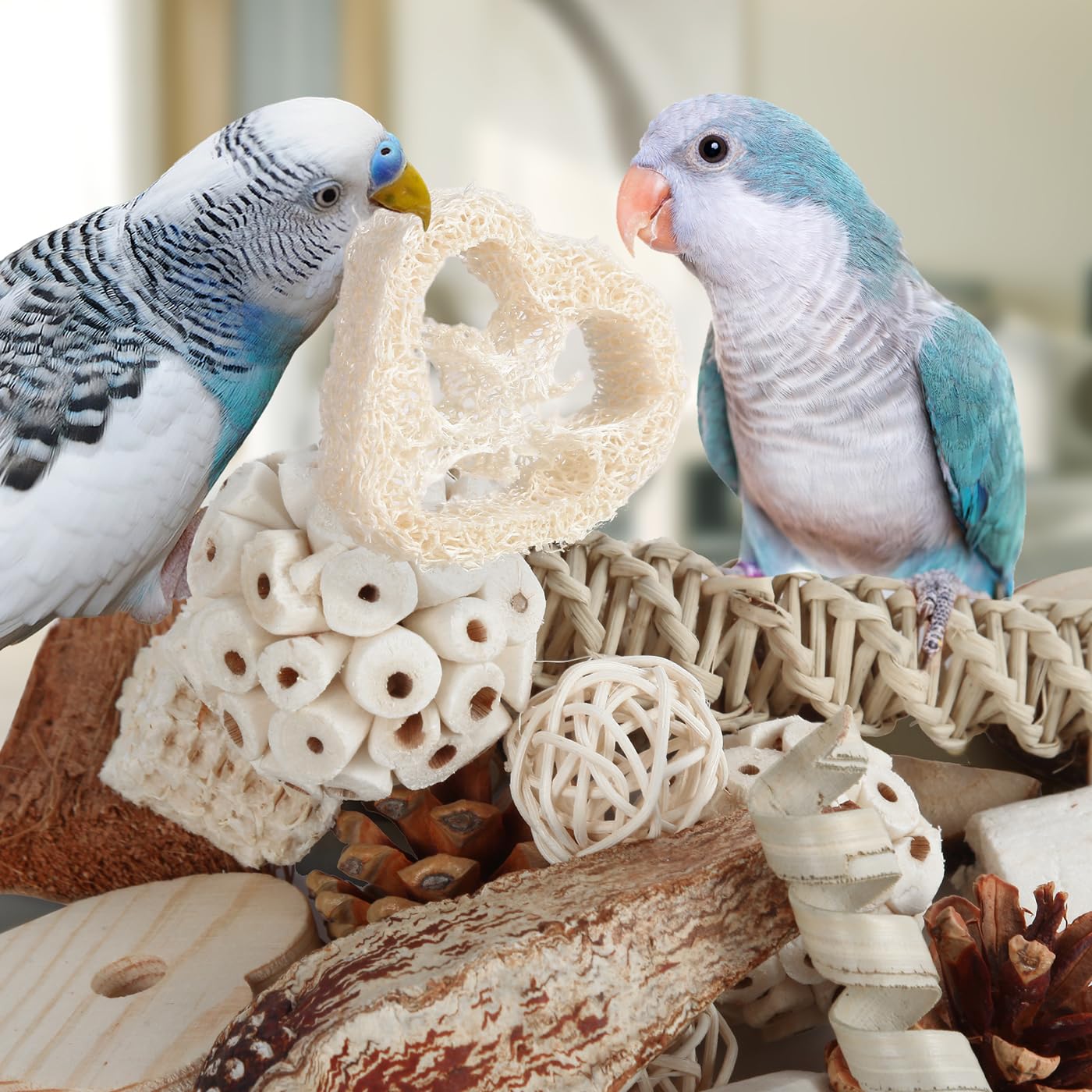 Kyouki Bird Toys Parrot Toys Natural Bird Foraging Box Foot for Parakeets,Cockatiels,Conures,Love Birds,and Other Small to Medium Birds (Medium) - image 7