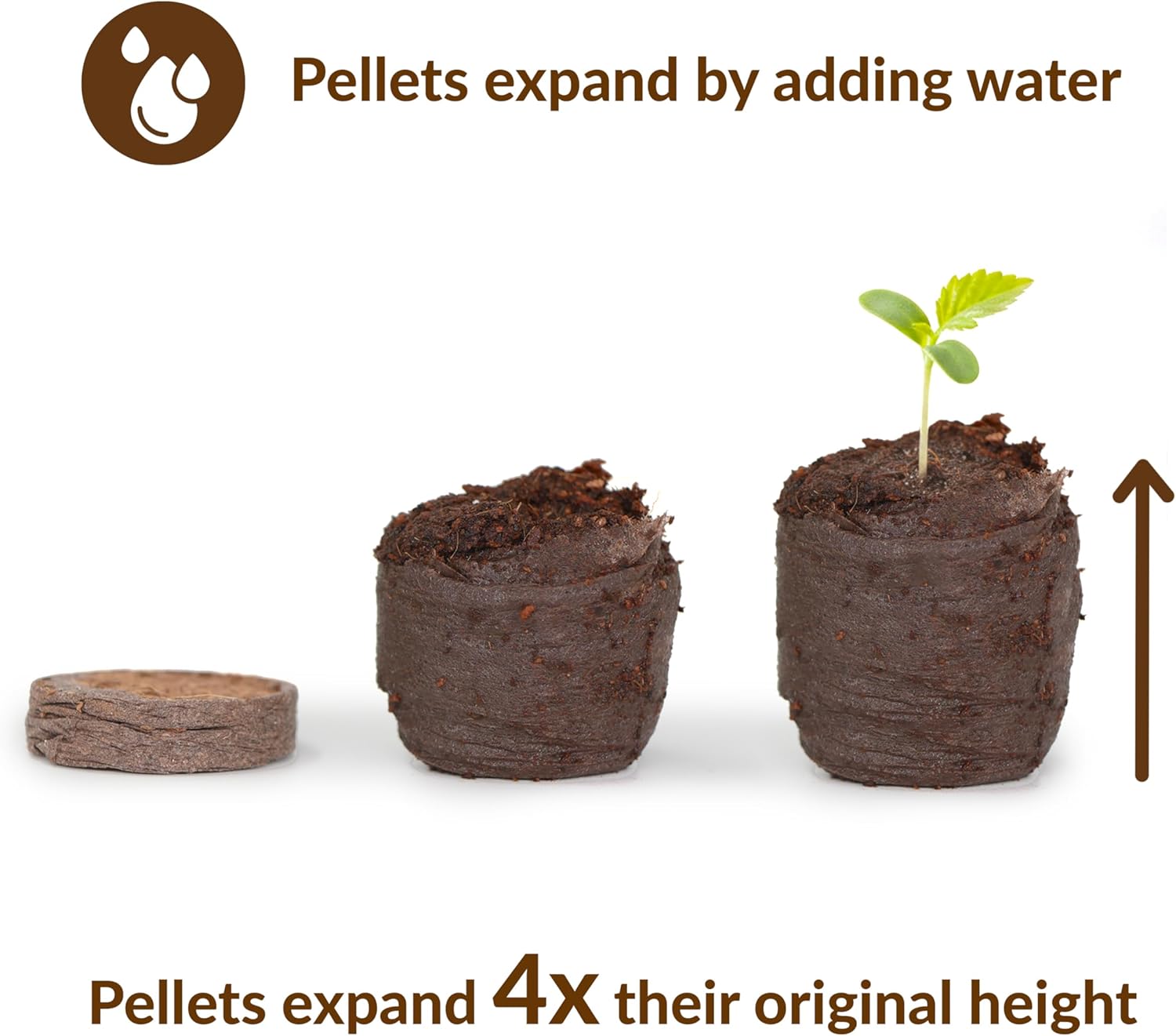 Ferry-Morse 36mm Coconut Coir Pellets Refill - 1500 Pack