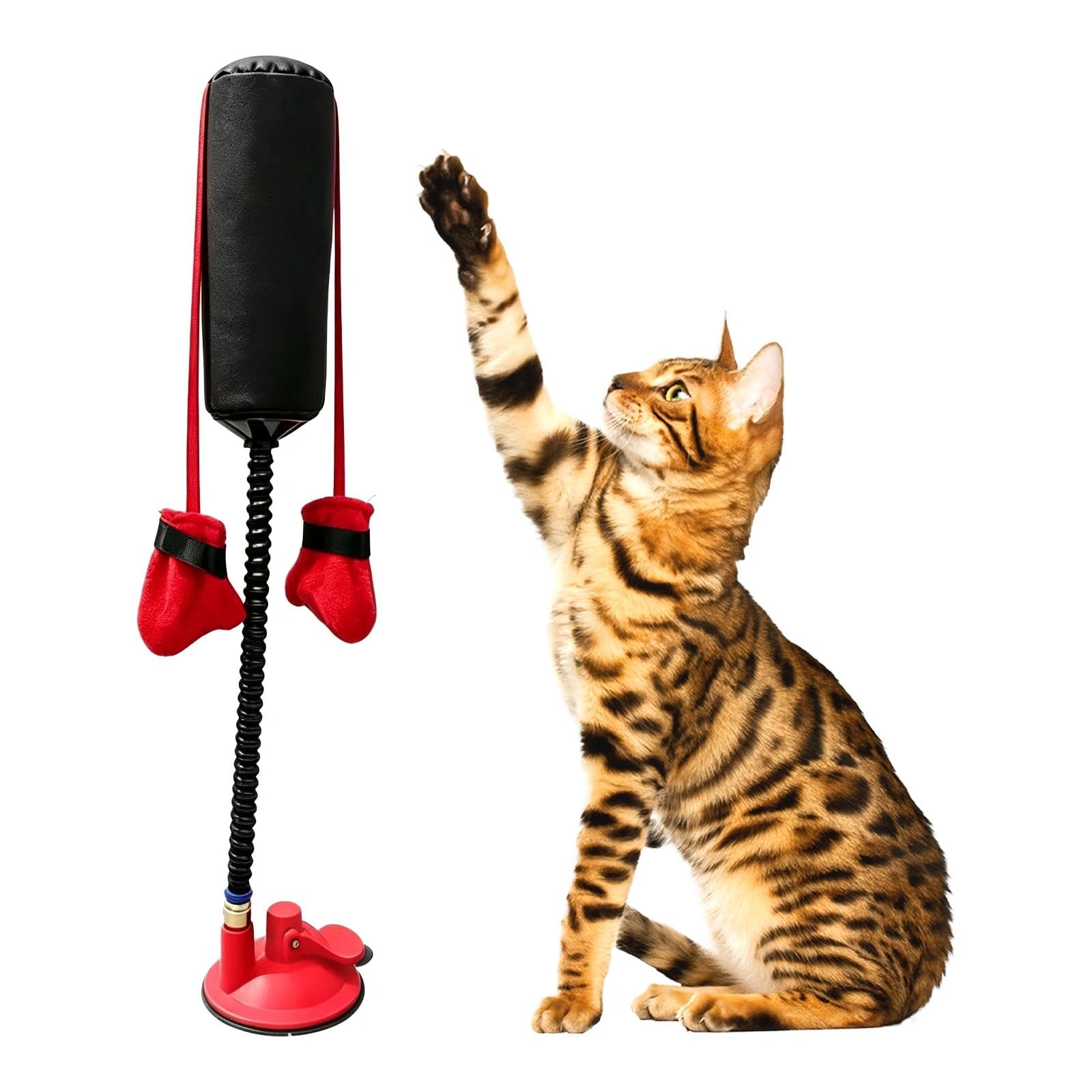 Cat Punching Bag Toy with Boxing Gloves, Funny Kitten Boxing Play Toy