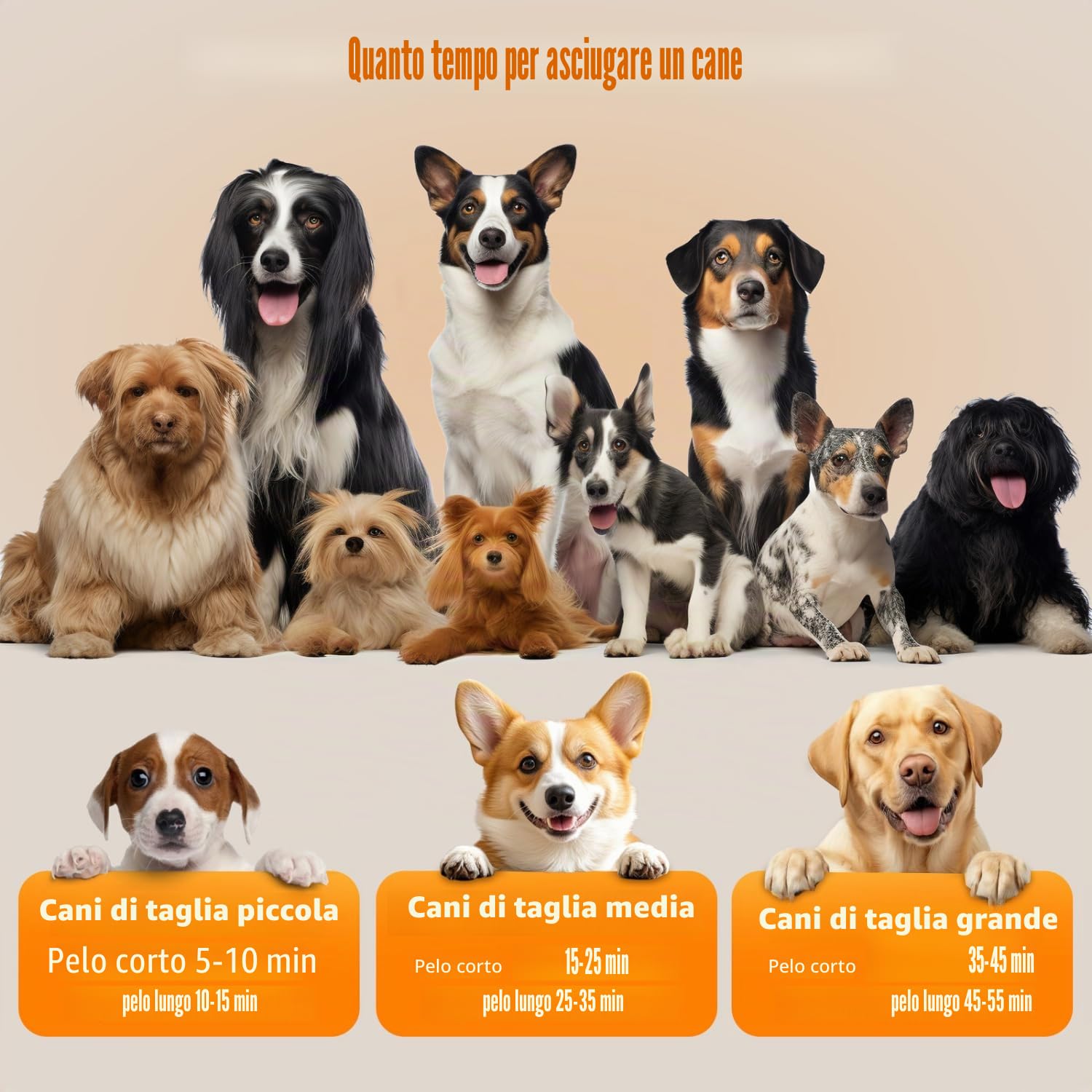 Nobleza Pet Blower - Asciugacapelli professionale per cani, con 4 beccucci, velocità/calore regolabile, tubo e spazzola, basso rumore