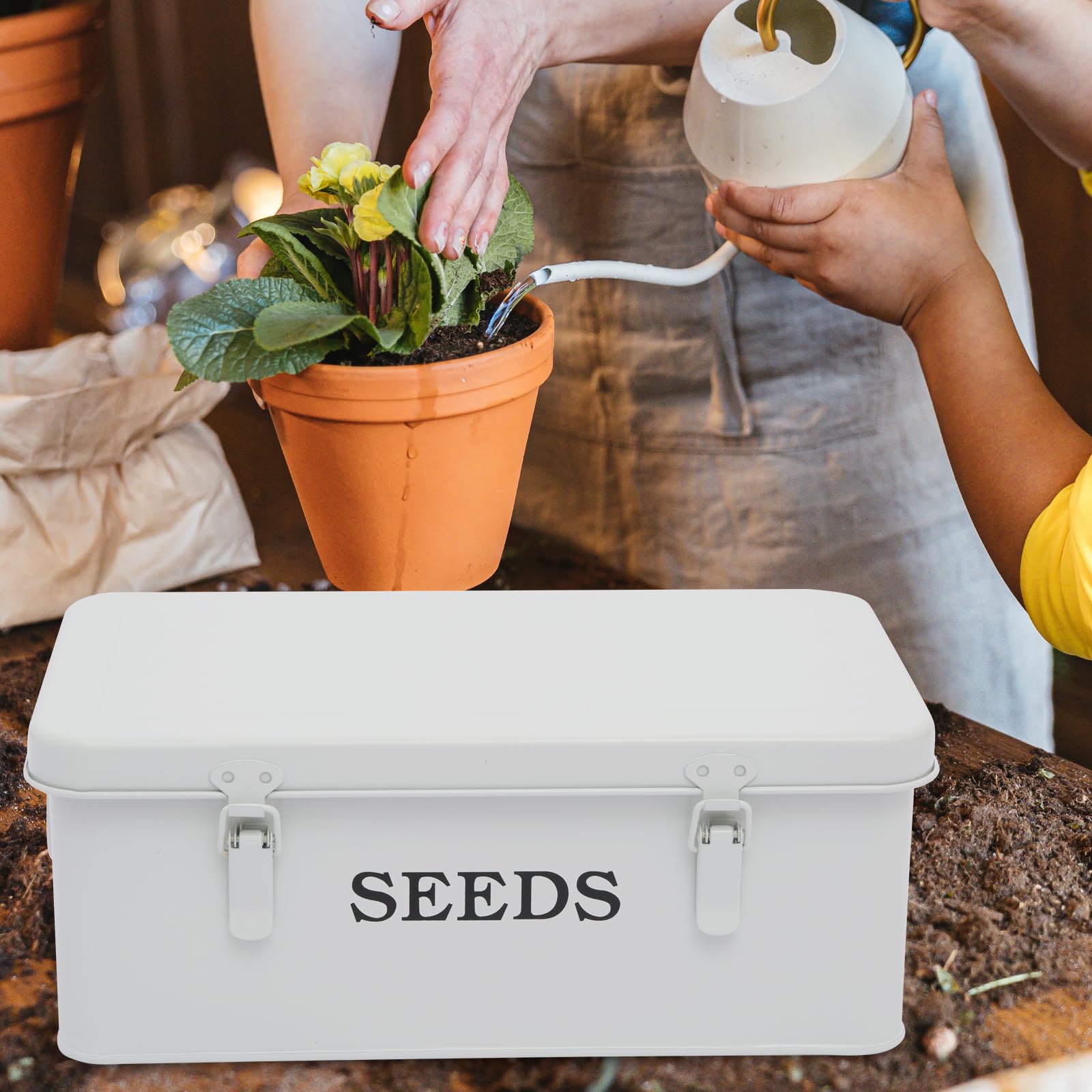 Cajas de Semillas Caja de Almacenamiento Semilla,Contenedores Almacenamiento Metálicos Contenedores Clasificación Sobres Semilla, Caja Semillas Jardín Con Cierre Seguridad 33×18×13cm Blanco