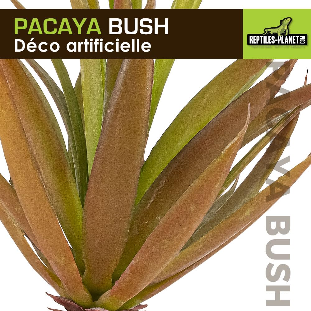 REPTILES PLANET - Pacaya Bush- Plante Artificielle - Décoration pour Terrarium - 20 cm