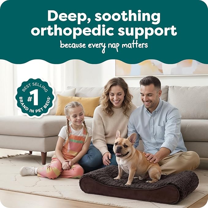 Cama Ortopédica para Perro Mediano con Funda Lavable miniatura 2