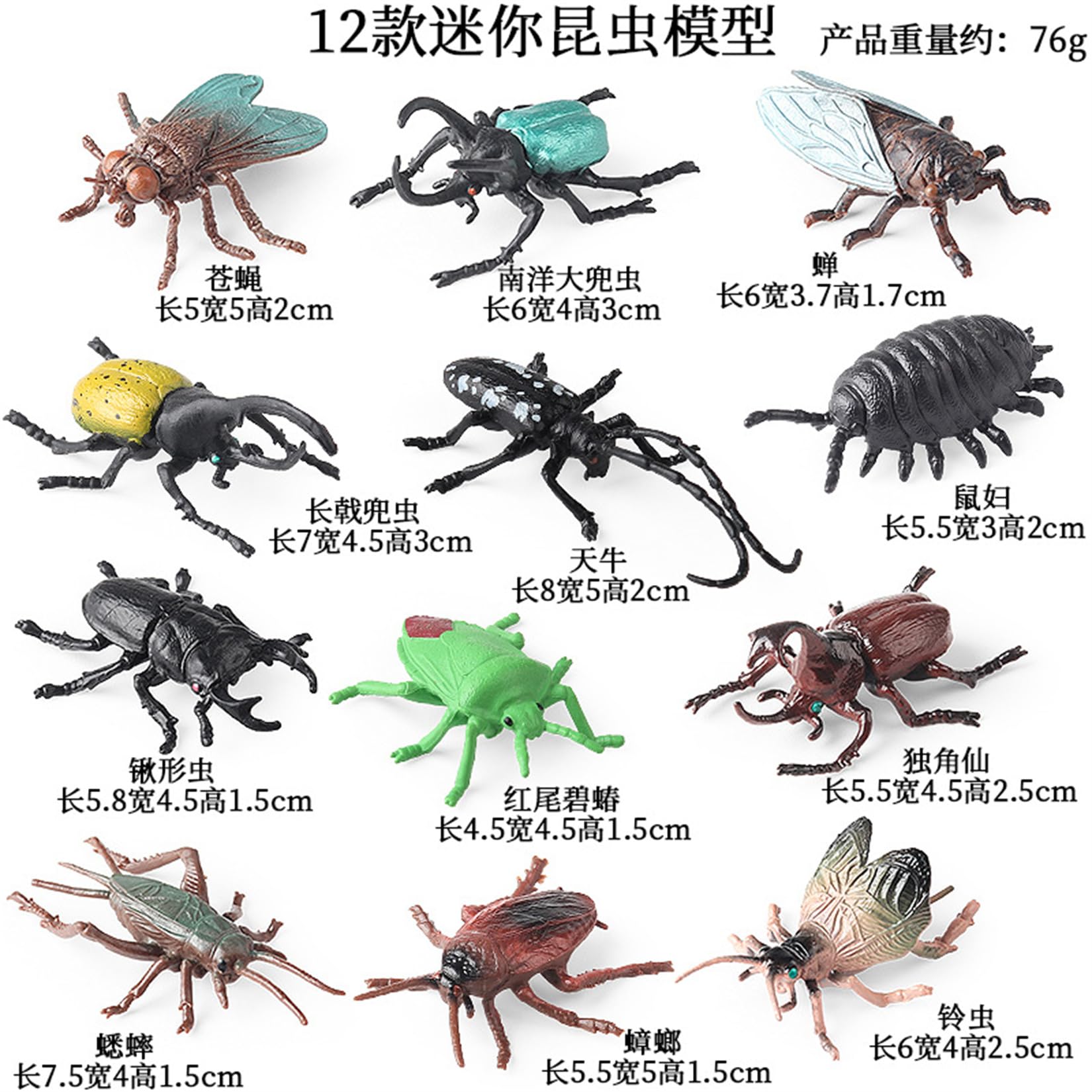 Amazon.co.jp: EUHELOPA 12点セット カブトムシ アトラスオオカブト