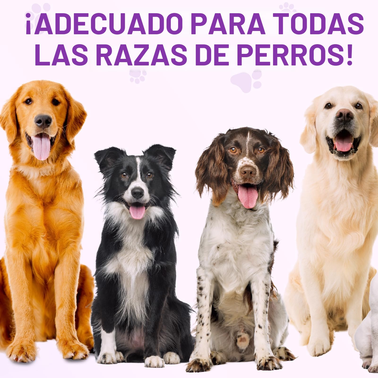Snacks Antialérgicos para Perros - Alivia Picor, Lamido y Caída del Pelo | 150 Golosinas Blandas Sabor Pato Pekín | Refuerzo Inmunitario | Alergias Estacionales/Ambientales (1Pcs)