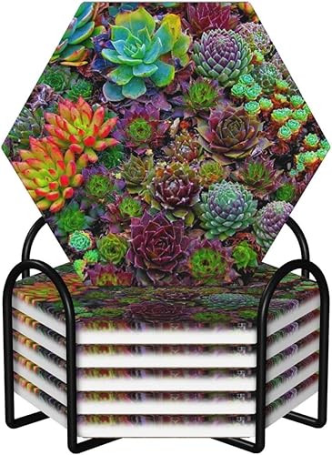 Juego de 6 posavasos de cerámica absorbentes para bebidas, con estampado de suculentas, posavasos para café, para el hogar, cocina, oficina