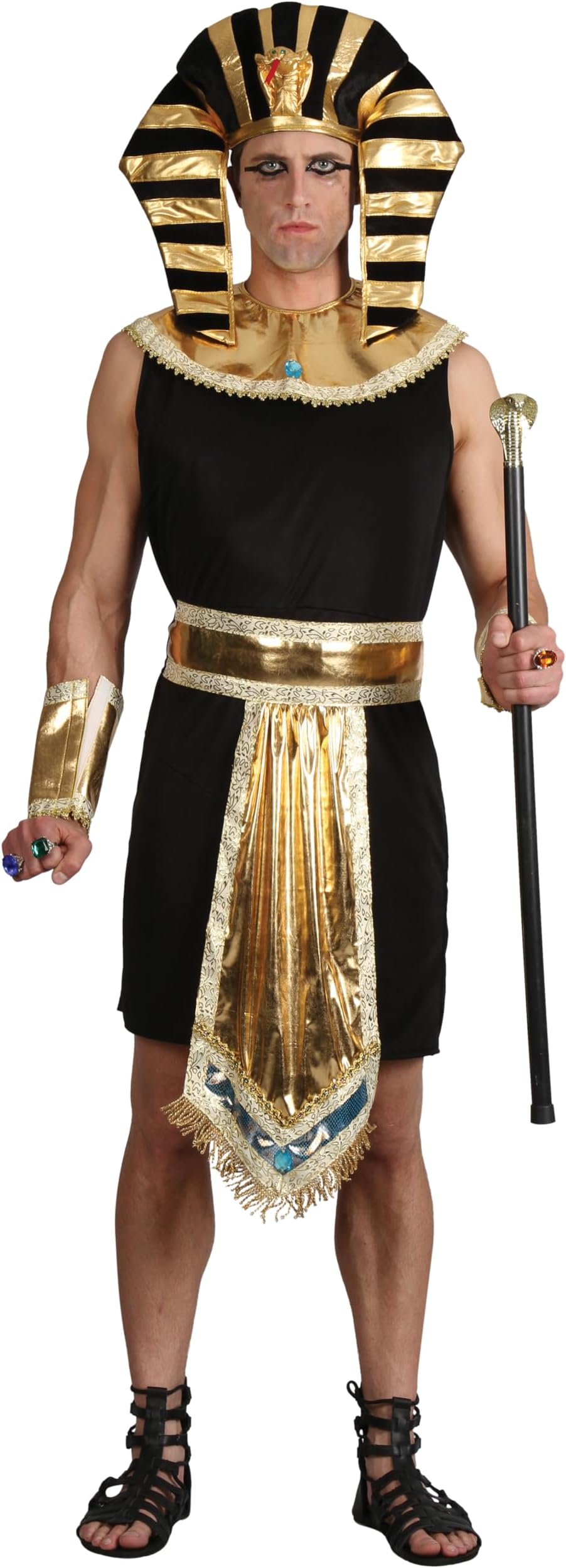 Wicked Costumes Mens Ancient Egyptian King/Pharaoh Fancy Dress Costume