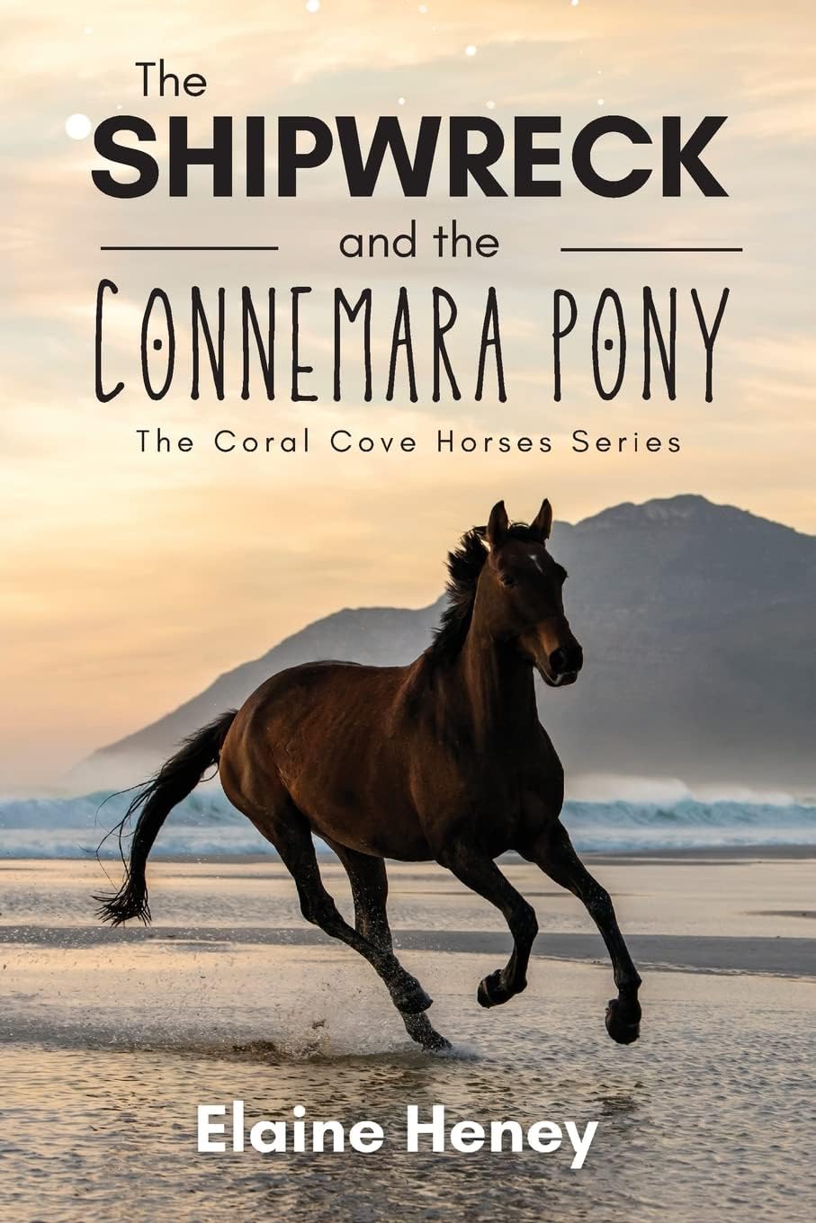 The Shipwreck and the Connemara Pony - The Coral Cove Horses Series (Coral Cove Horse Adventures for Girls and Boys)