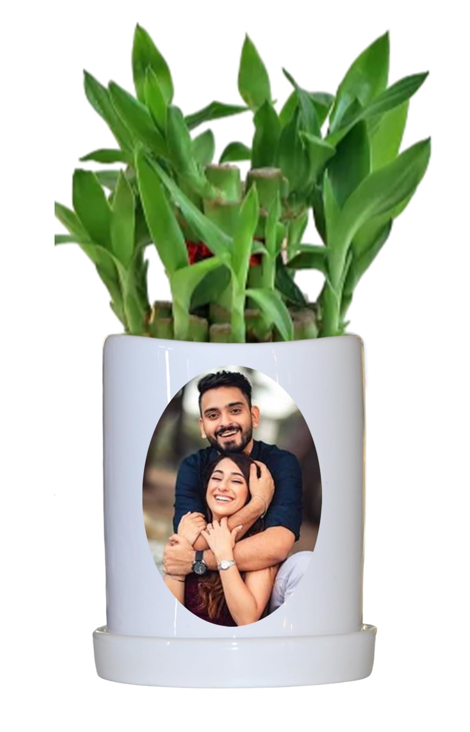 SAVRI Personalized Gifts Small Plant Pot with Unique Photos or Designs-Perfect for Home Decor or Gifting - Ideal for Home or Office. Perfect for Office Desk Decor. (Only Flower Pot) (B0CWH7NZKL) Amazon Price History, Amazon Price Tracker