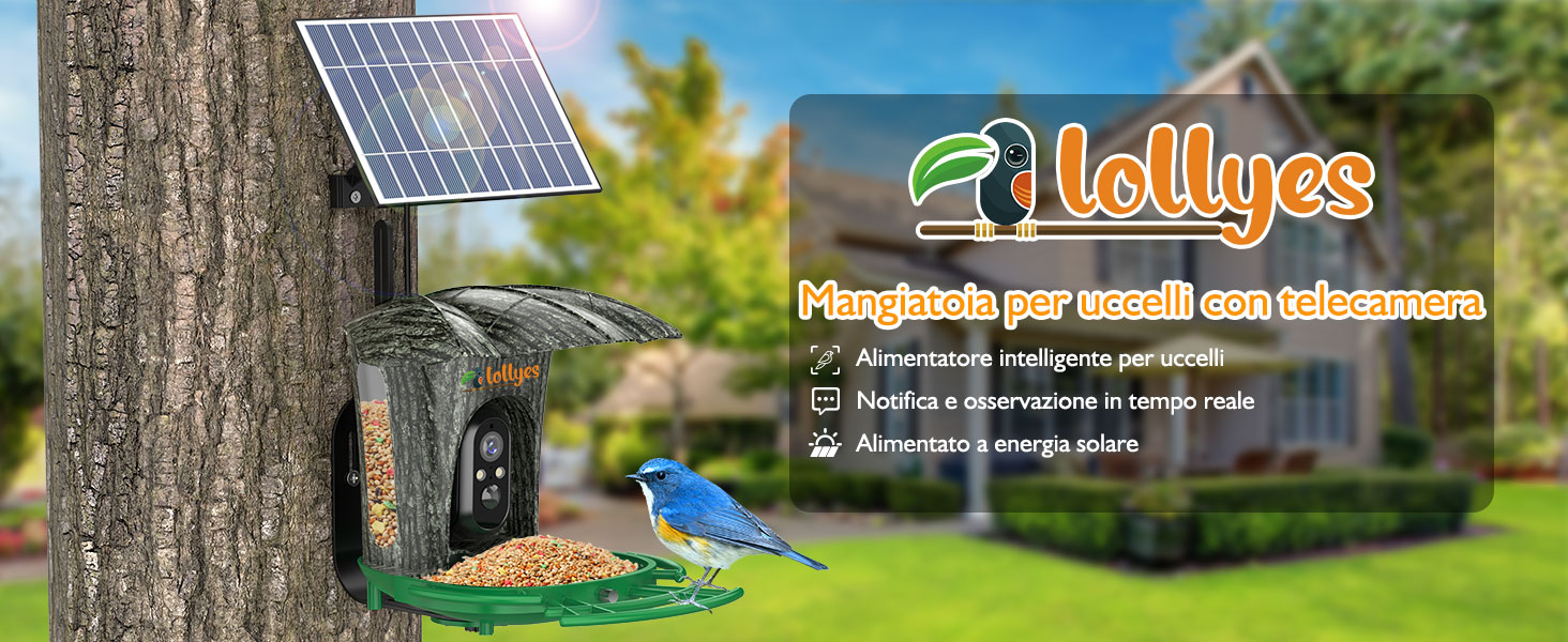 Mangiatoia per uccelli con telecamera a energia solare, AI identifica
