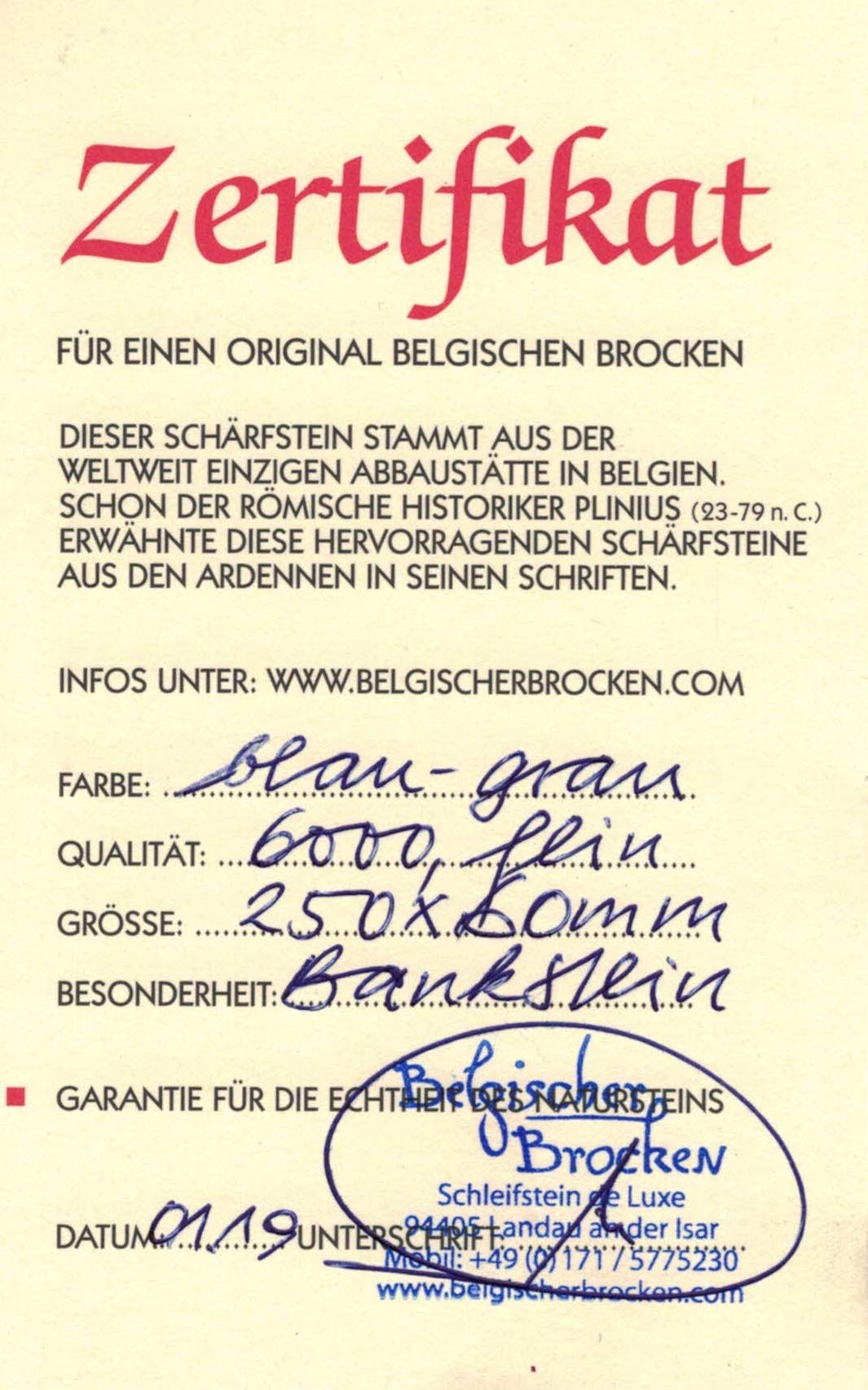 Kamień szlifierski Belgijski Ostrzałka niebieska rozmiar 250 x 60 mm z kamieniem do ostrzenia noży kuchennych