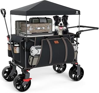 EVER ADVANCED Carro playe de Festival Carrito Plegable de 228 L con Ruedas con toldo extraíble, Carrito de Camping Resistente de 150 kg de Empuje y tracción con 3 Bolsillos Grandes, Carrito de jardín