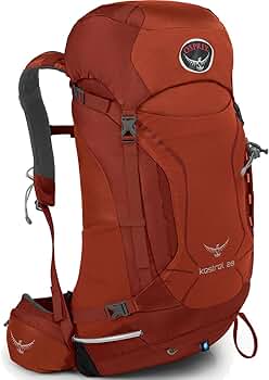 Amazon.co.jp: OSPREY(オスプレー) ケストレル28 アッシュグレー