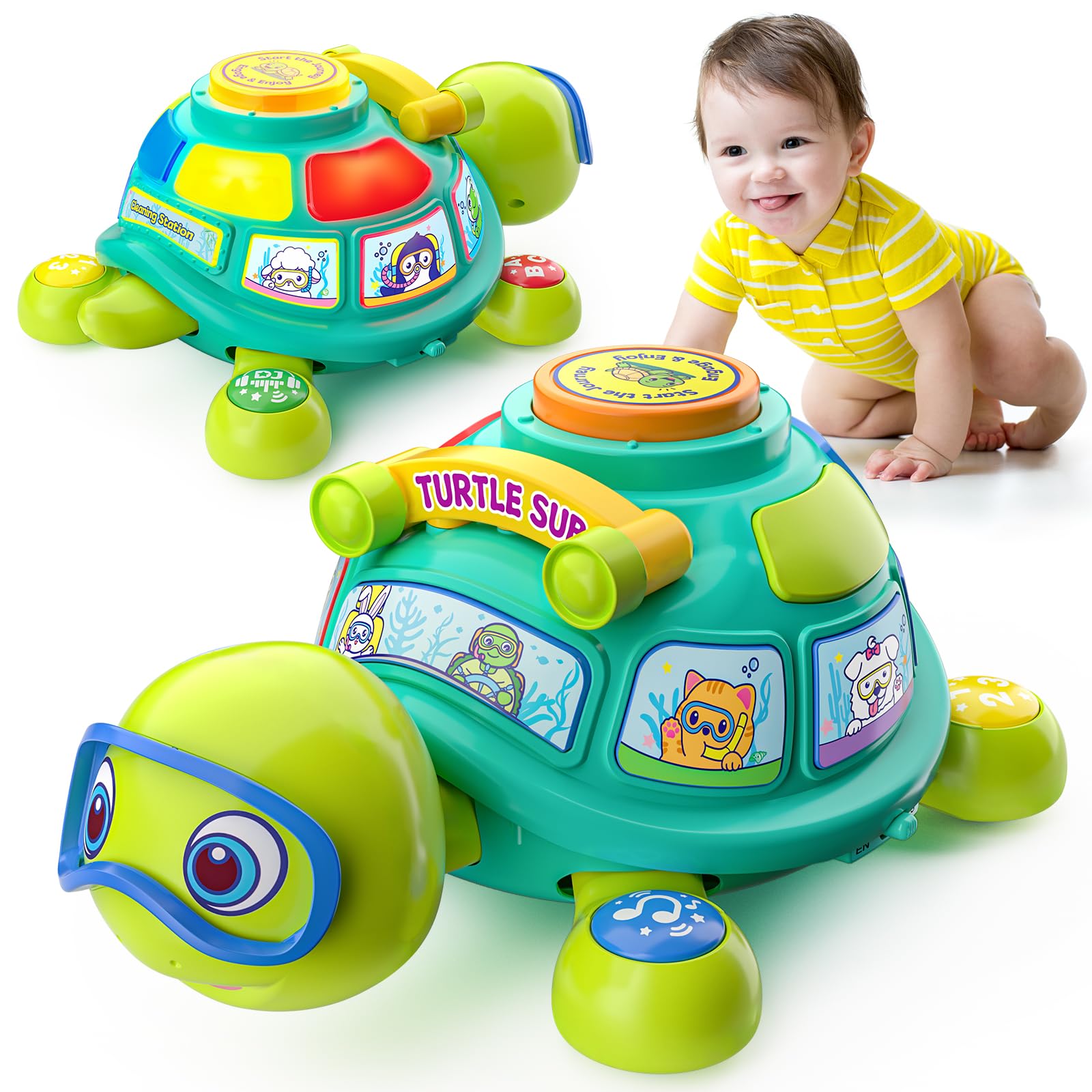 Musical Crawling Turtle: Educational Bilingual Infant Toy for 6-12 Months (Promotes Movement & Language)