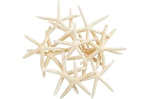 Juvale White Starfish Crafts Decoration (4-6 In)