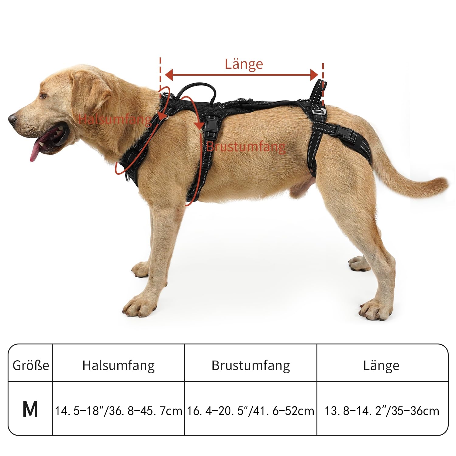COODEO Tragehilfe Hund Hinterbeine, Hunde Hebegeschirr mit Schultergurt, Hundelift Gehhilfe für alte Hunde, Reha-Geschirr bei Arthritis, Gelenkverletzung, OP & Treppenhilfe (Schwarz, M)