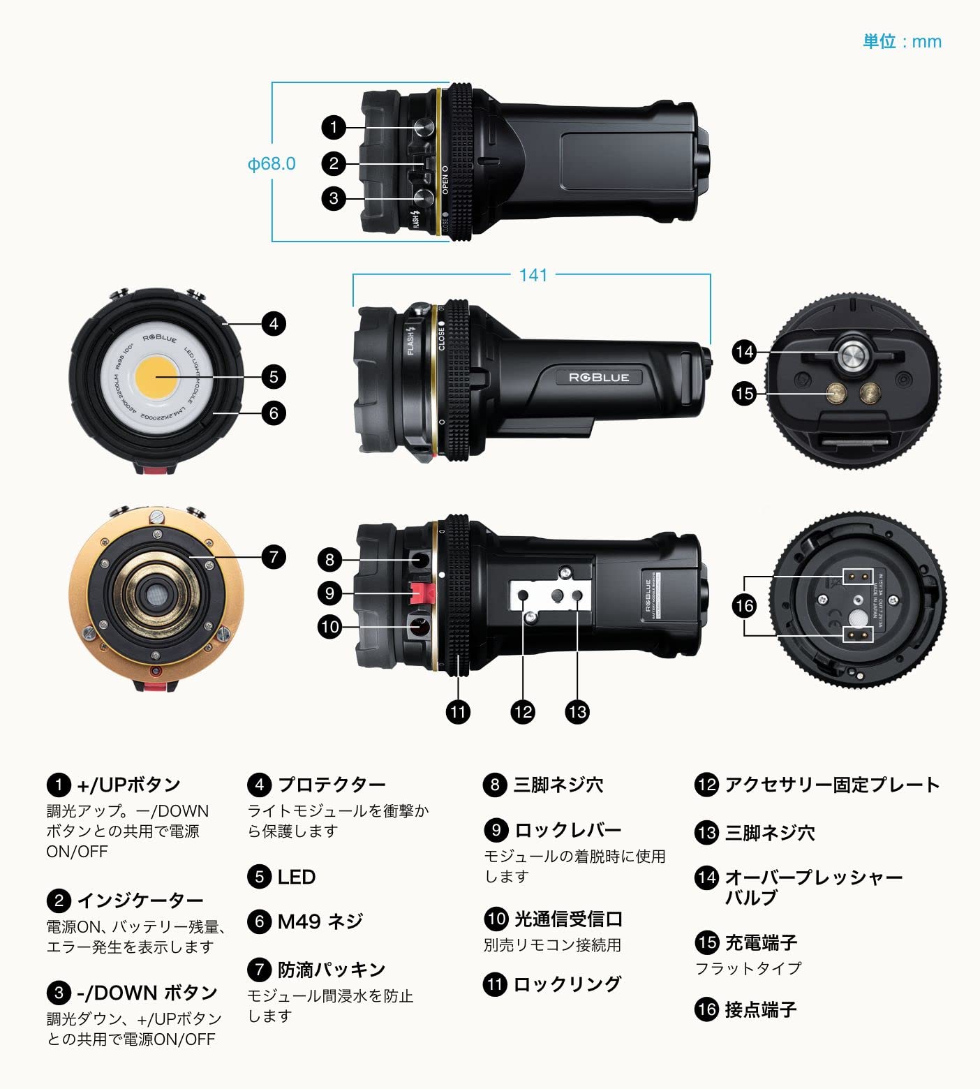 Amazon.co.jp: RGBLUE アールジーブルー SYSTEM01:re PREMIUM COLOR 