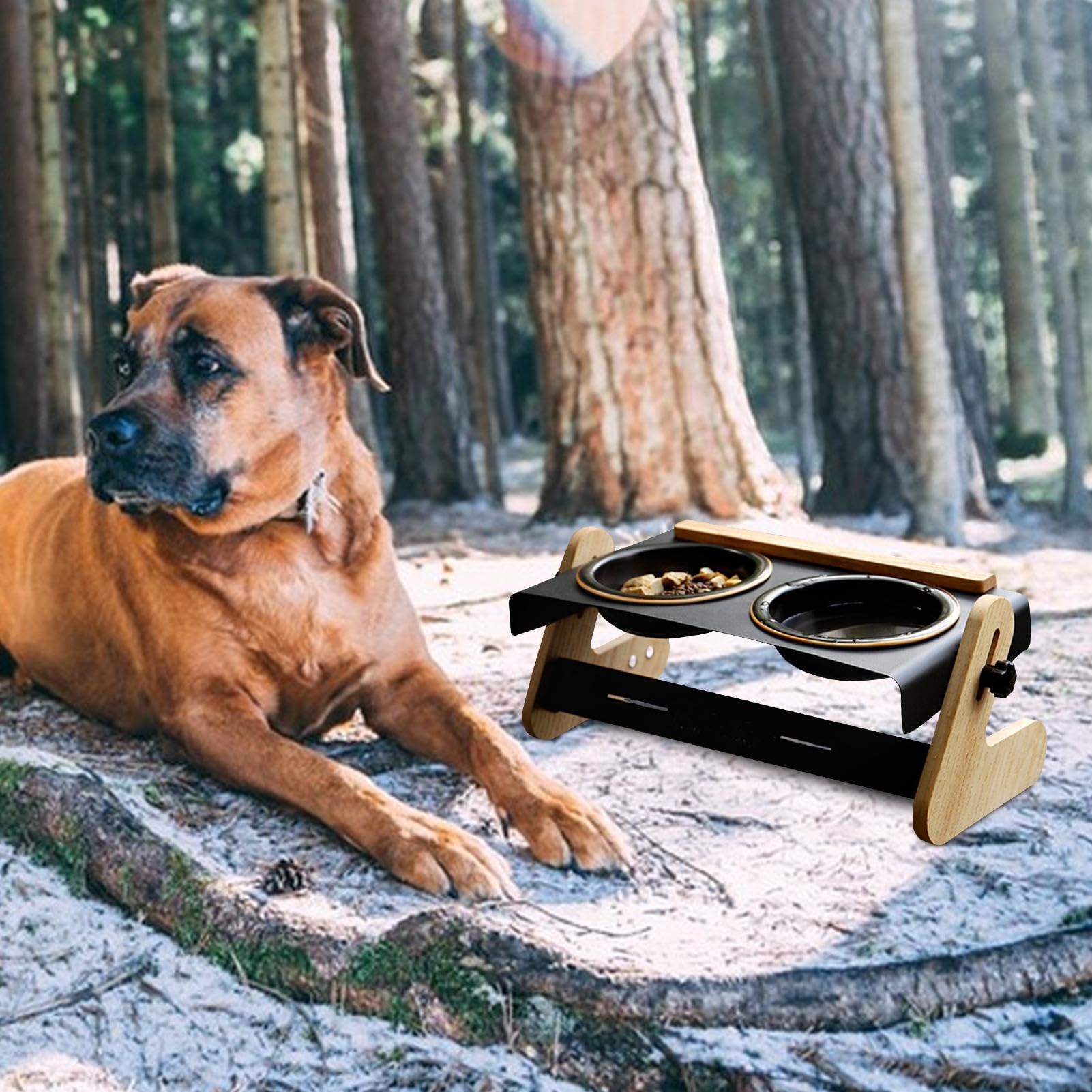 para perros elevado, 4 posiciones de altura ajustable para perros y gatos, perfecto para acampar al aire libre, cómodo para viajes | perfecto para acampar al aire libre, cómodo para viajes