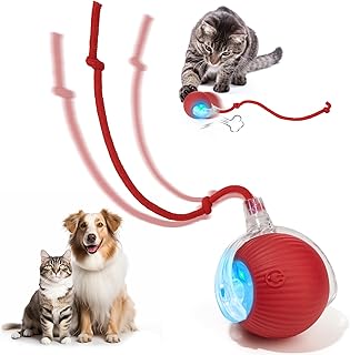 Interactive Dog & Cat Toys