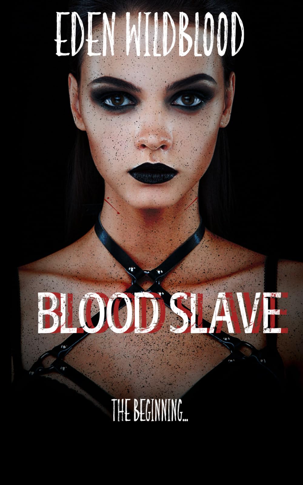 Blood Slave: The Beginning: 1