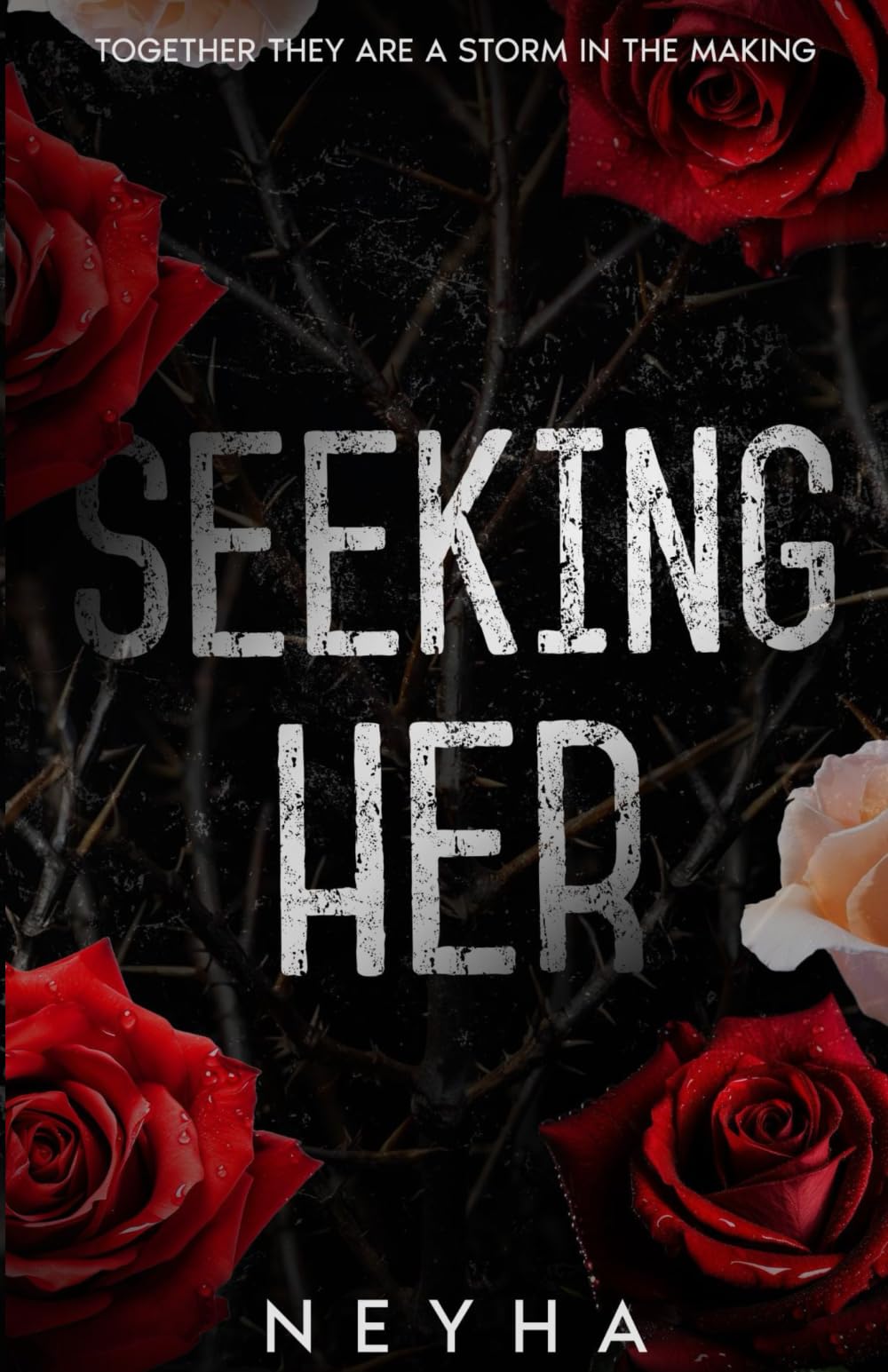 Seeking Her: 3 (Hide-n-Seek)