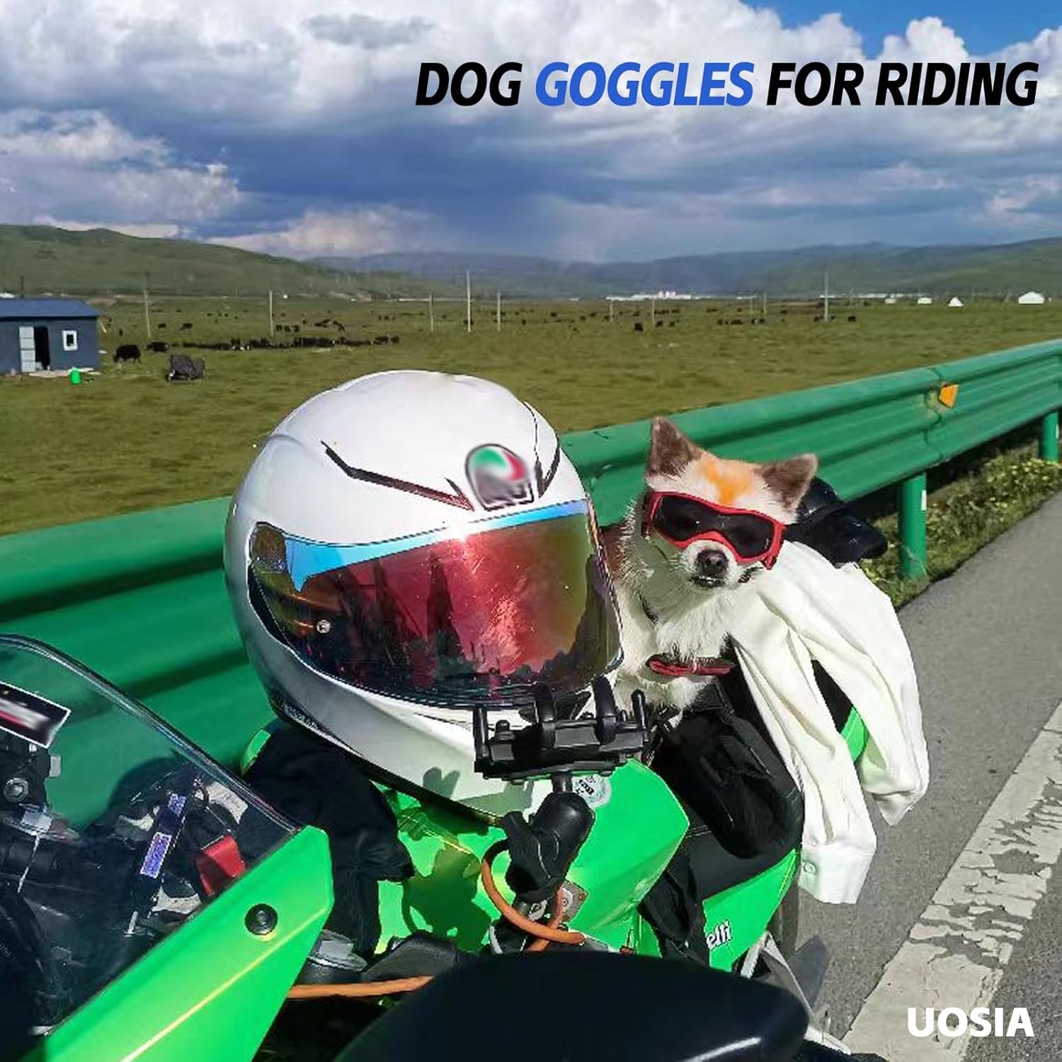 2 Pcs Dog Goggles and Pet Helmet Set Dog Sunglasses with Hat Adjustable Cat Glasses Pet Motorcycle Helmet with Ear Holes for Small Medium Dog Outdoor Driving Walking