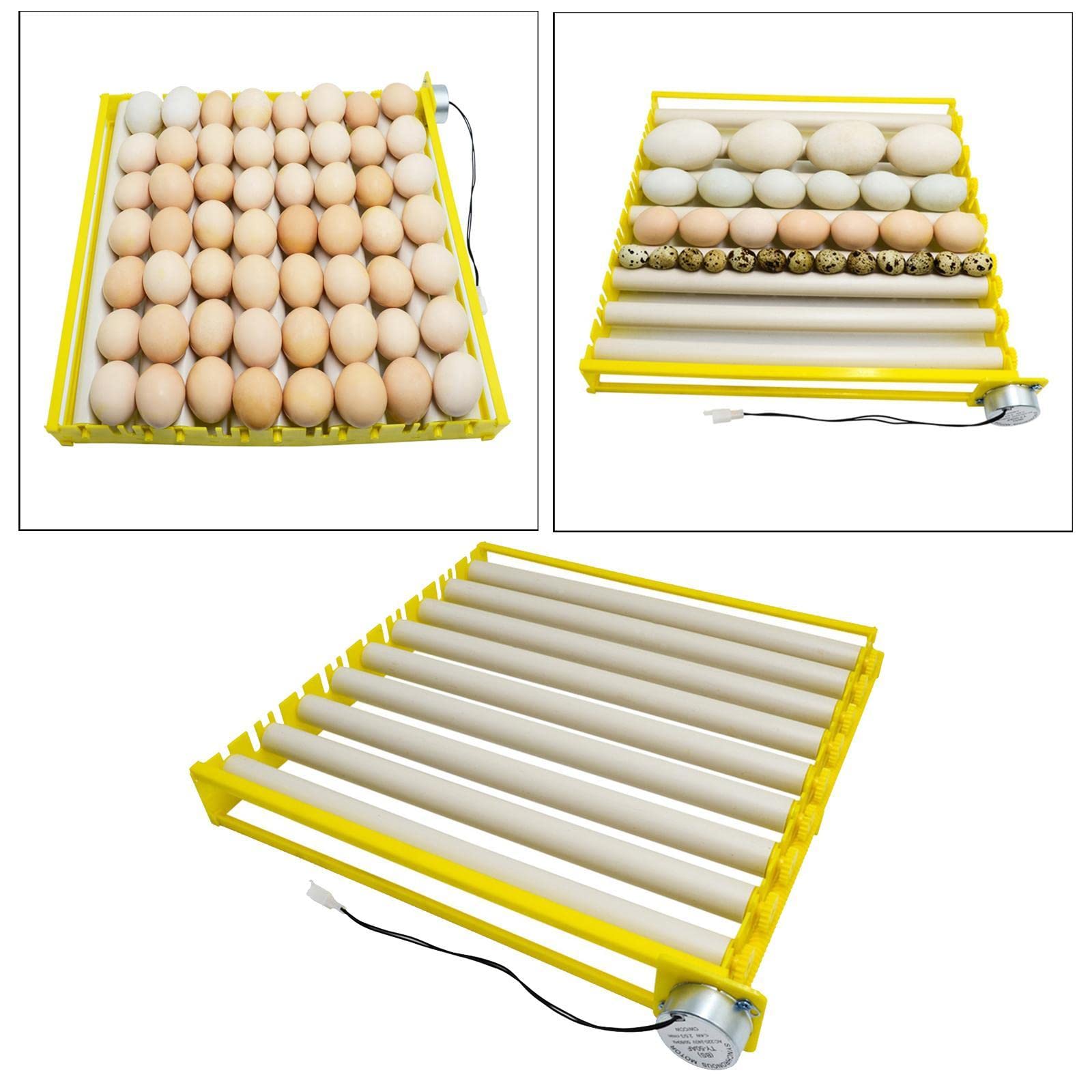 Fenteer Ei Inkubator Tablett Automatische Ei Turner für Huhn Ente Taube, 220V, 9 rohre