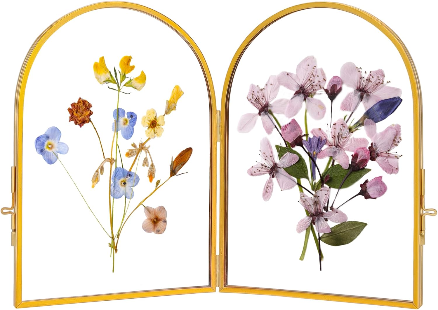 Double Glass Frame for Pressed Flowers Handmade, Pressed Flower Frame, Hinged Tabletop Brass Photo Frames, Dried Flower Display Folding Picture Frame for Home, ArcShaped, Gold, 4×6 Inches Gold 4L" x 6W"