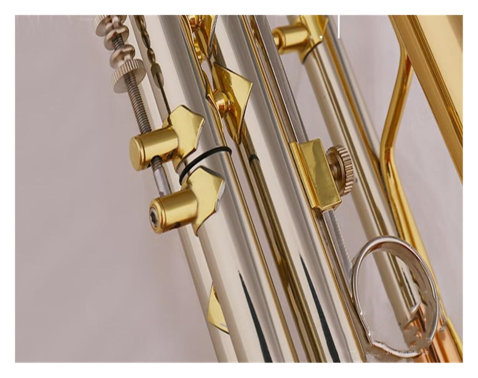 trąbka instrument Trąbka Początkujący Egzamin dla klasy Szkoła podstawowa Uczeń Instrument dęty dęty Instrument dęty