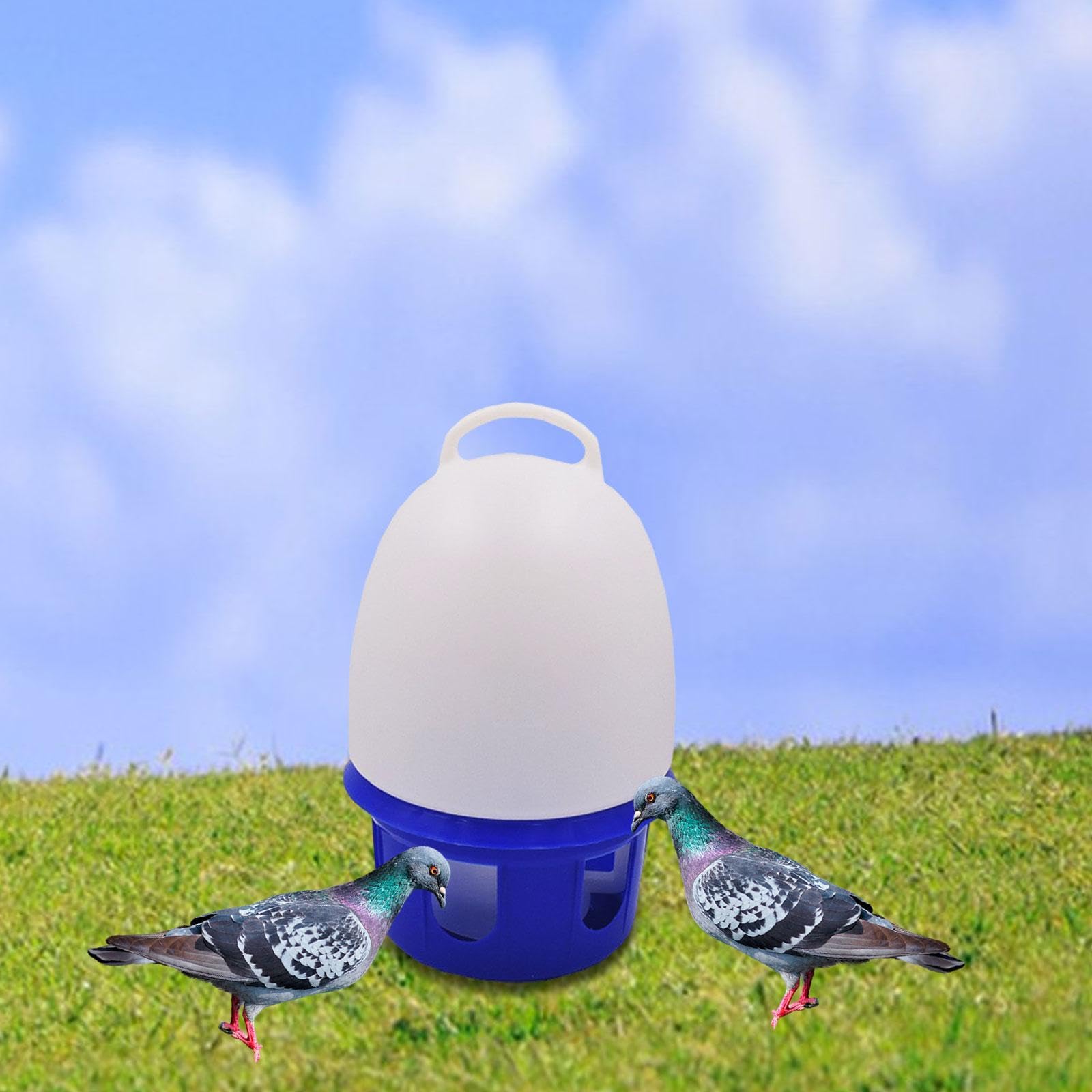 Accesorios para Sistemas de Bebederos para Palomas en Jaulas, Dispensadores de Agua para, Mango Grande de 10l