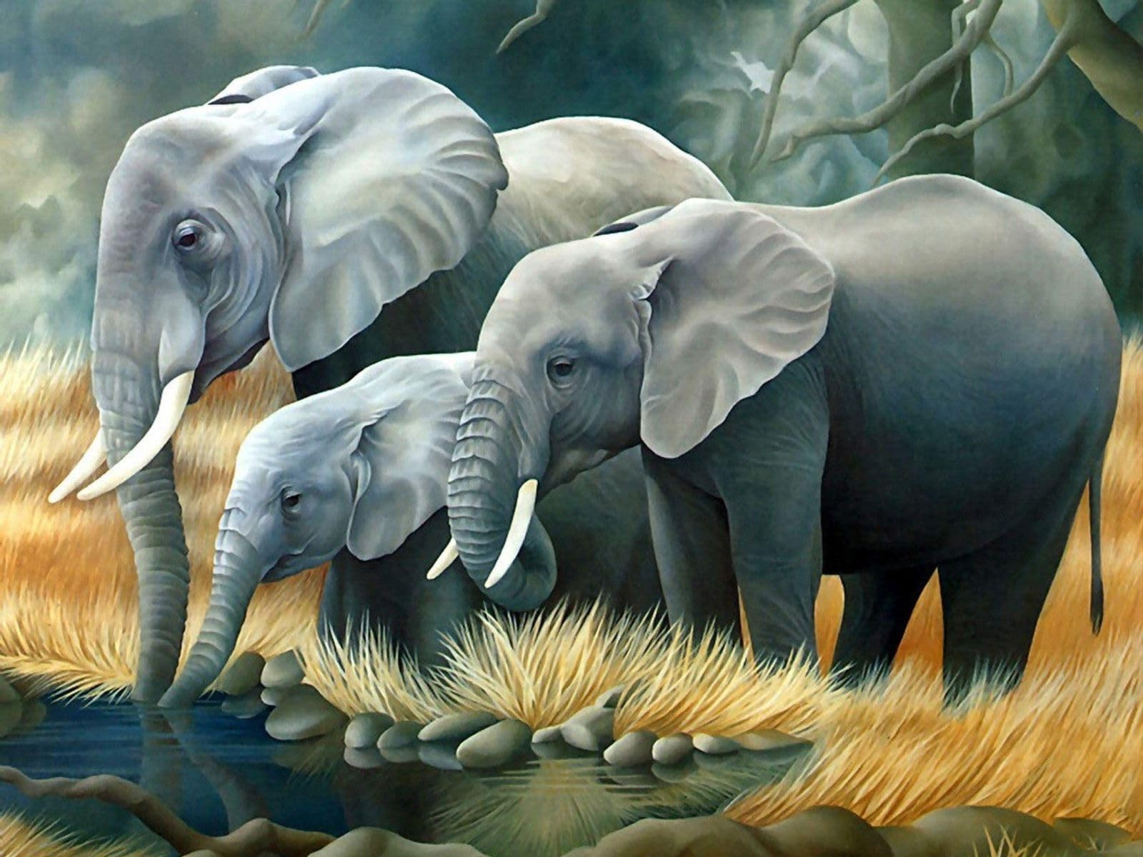 FunBlast 5D Diamond Painting Kit, 12x16inch Diamond Painting Kit for Adults & Kids, Suitable for Home Leisure and Wall Decoration, Gift for Kids and Adults (Elephants)-image-24