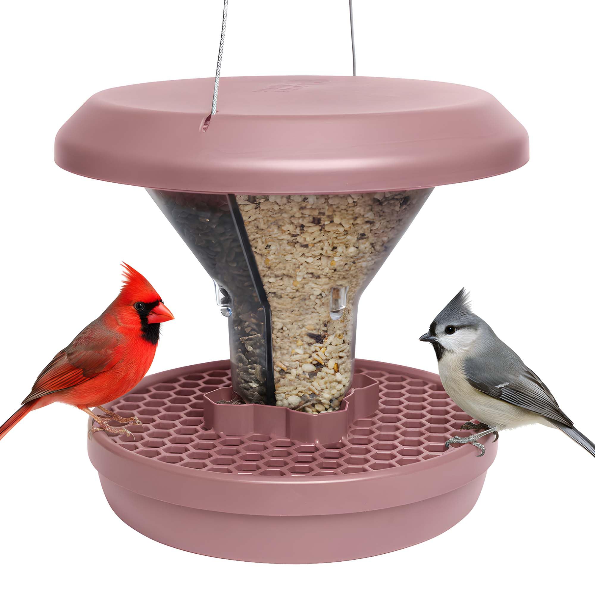 Bird Feeders Hanging Station - Davos - Smart Bird Feeder - No Mess Bird Seed - Seed Tray - Gardening Gifts - Bird Watching Gifts - Bird Table - Robin Food - Blackbird โ image 1