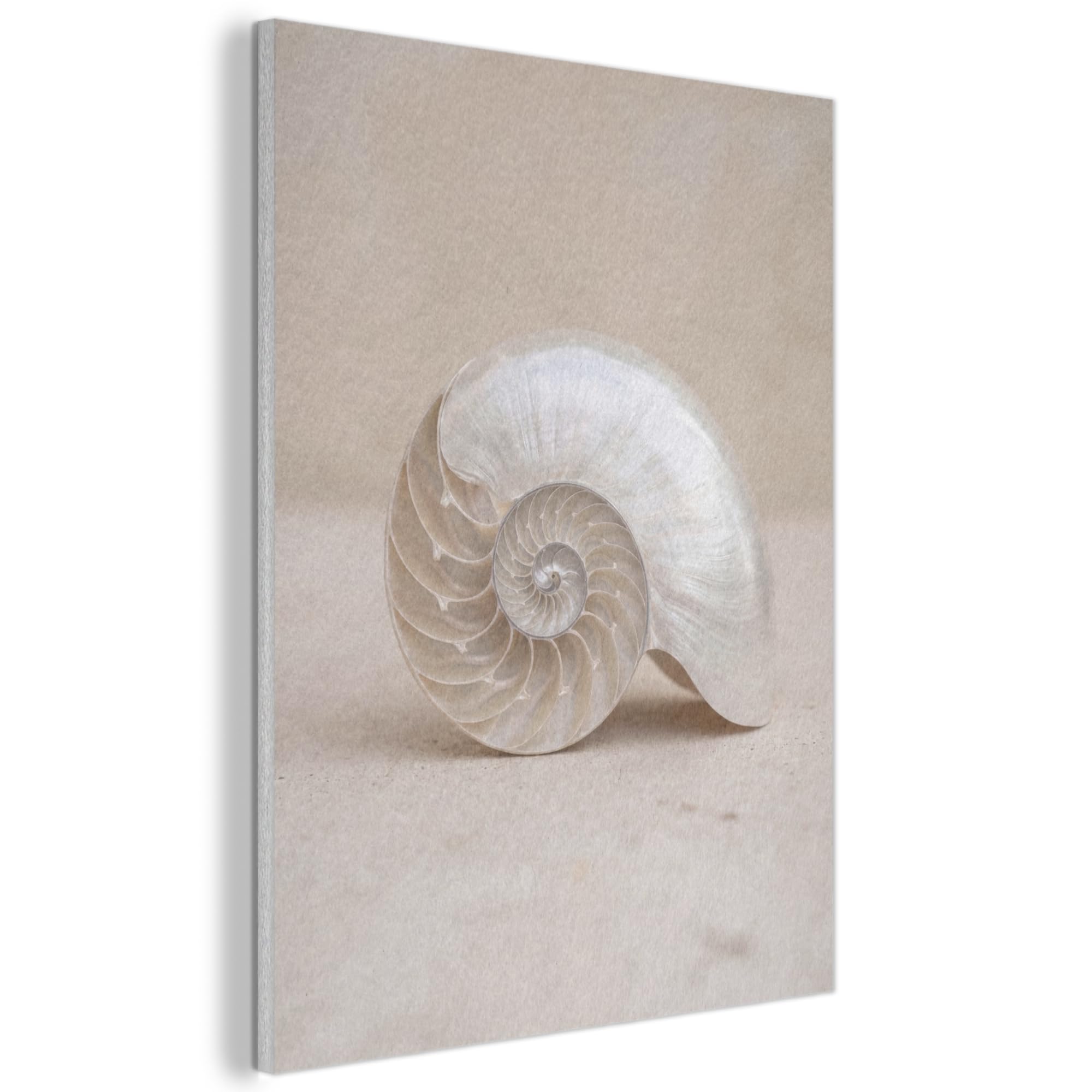 MuchoWow© Felt Panel 70x100 cm Framed Design Print Accent Interior Wallart Decoration Wall Art Shell - Spiral - Beige