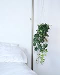 Plante d'Ivy Pothos Fausse Réaliste 32" pour Décor de Maison Intérieur Plante Artificielle en Soie (Variée - Vert Clair & Foncé)